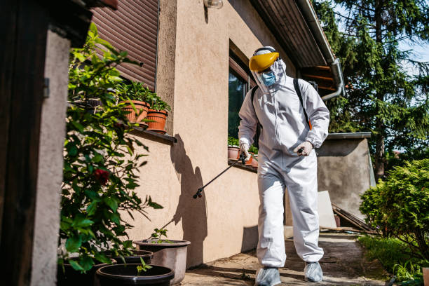 Best Flea Control Services  in Martins Additions, MD
