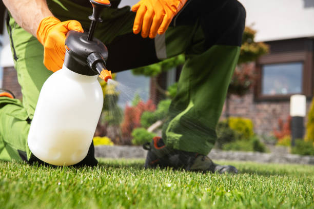 Reliable Martins Additions, MD Pest Control Solutions
