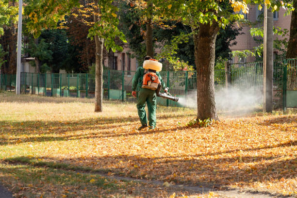 Best Local Pest Control Services  in Martins Additions, MD