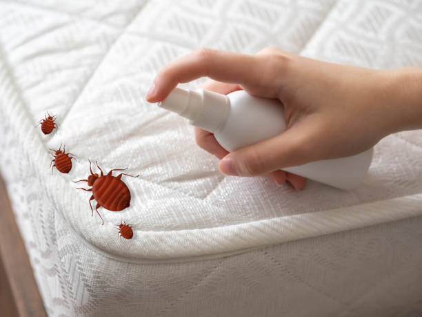 Best Ant Control Services  in Martins Additions, MD