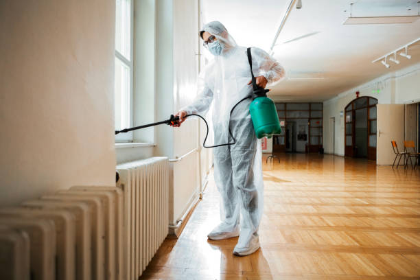 Best Wasp Removal Services  in Martins Additions, MD